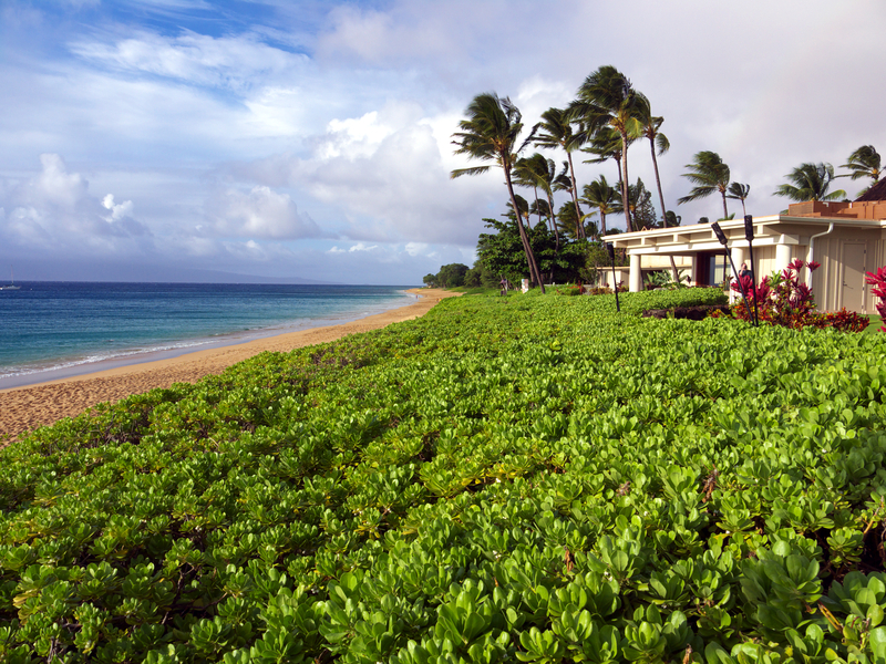 Benedicktus Meister Hawaii Real Estate Appraiser Beach Home in Maui